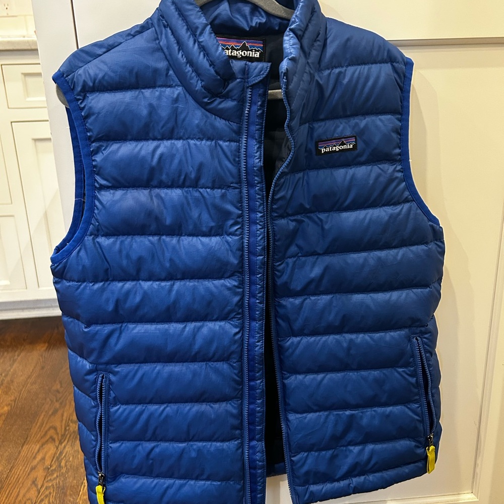 Patagonia Royal Blue Down Puffer Vest